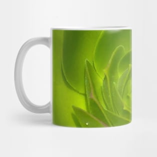 Green Leaves Mug